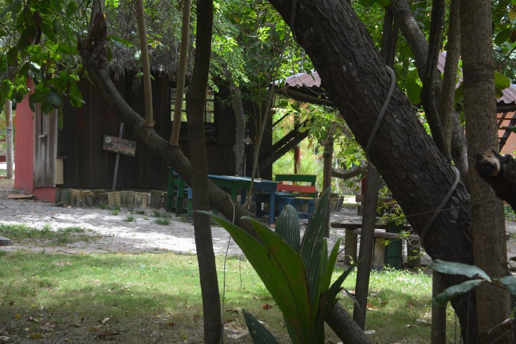 Imbassai Pousada Hostel Lujimba Zewnętrze zdjęcie